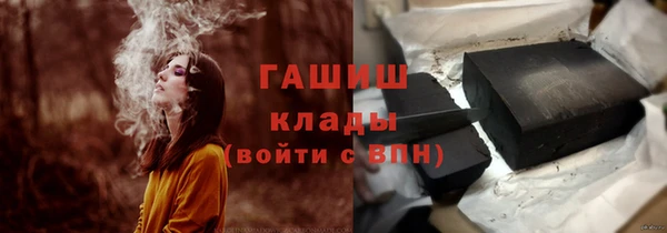 PSILOCYBIN Алзамай