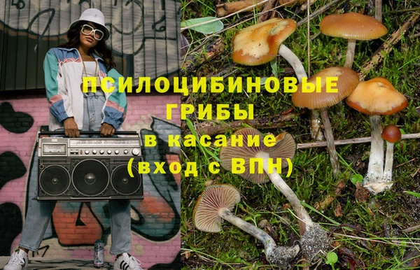 PSILOCYBIN Алзамай