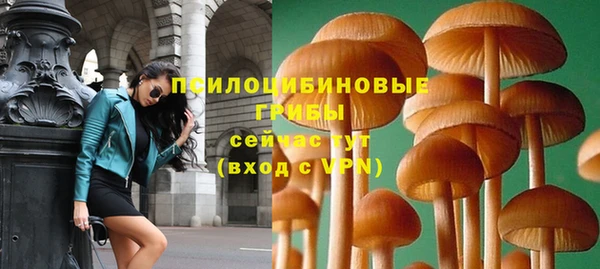 PSILOCYBIN Алзамай