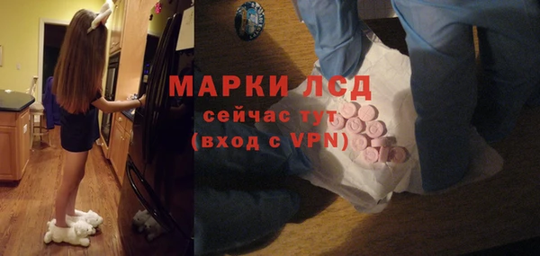 PSILOCYBIN Алзамай