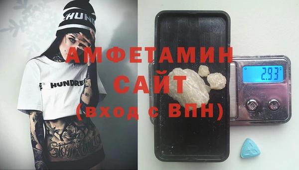 PSILOCYBIN Алзамай