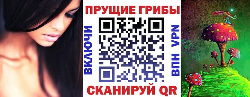 Купить  Киренск  Псилоцибиновые грибы Magic Shrooms 